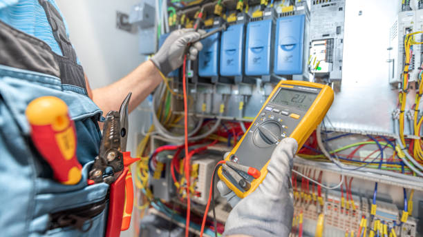 Best Electrical System Inspection  in Knoxvle, IL